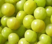 Amla