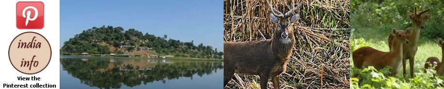 Keibul Lamjao National Park - india-info Pinterest collection