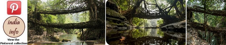 Meghalaya - india-info Pinterest collection